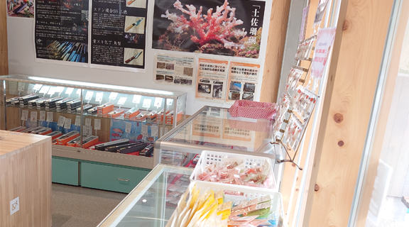 高知県/道の駅めじかの里土佐清水/シーマート土佐清水/工芸品コーナー