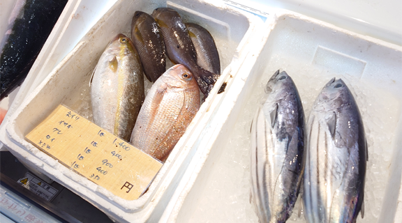 高知県/道の駅めじかの里土佐清水/シーマート土佐清水/鮮魚コーナー