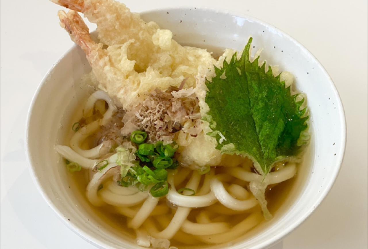 土佐宗田節が香る天ぷらうどん